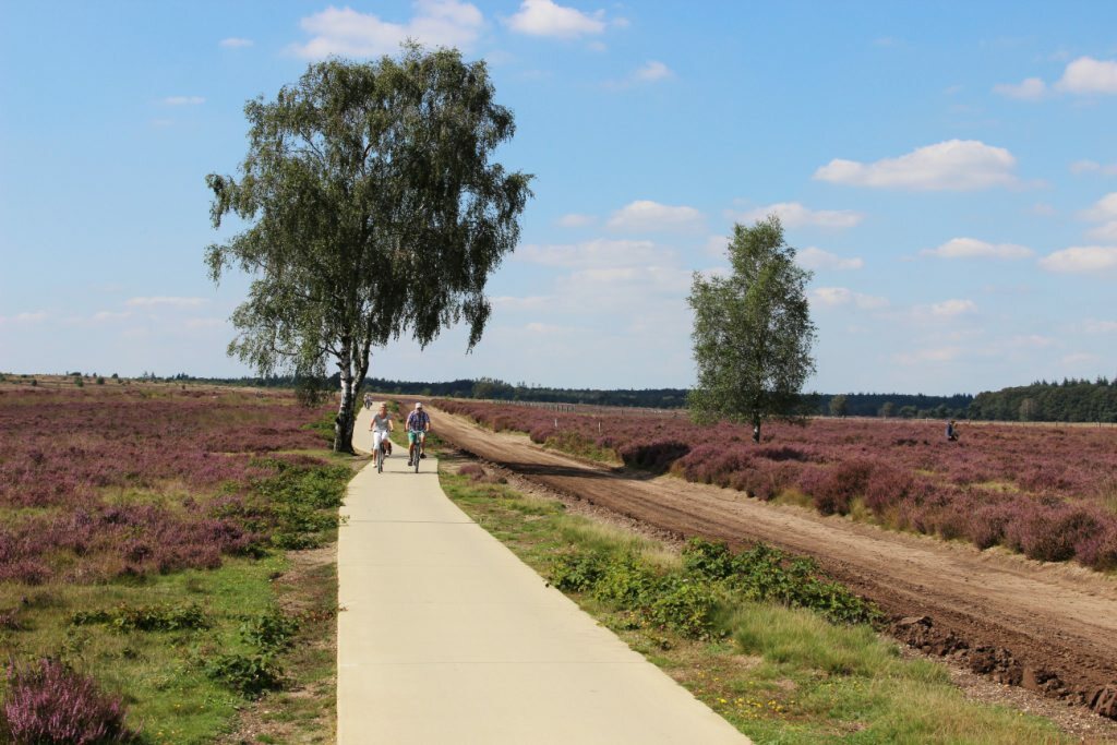 P347-Geelgekleurd.jpg